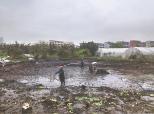 厦门河道鱼塘清淤